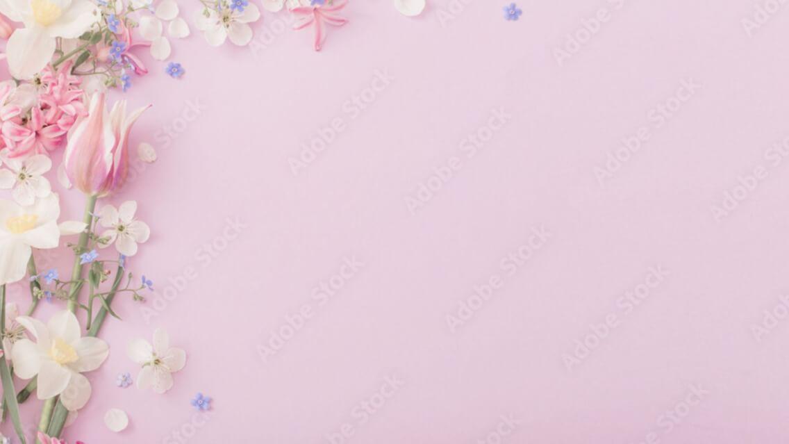 Pink Spring Flowers Background